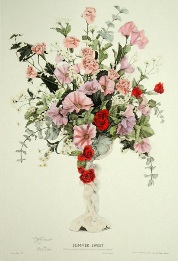 Summer Sweet, flower print