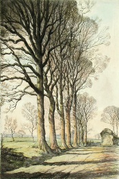 Autumn Shadows, rural scene