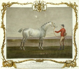 Lamprey, hand coloured horse portrait
