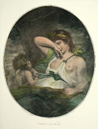 Snake in the Grass, after reynolds