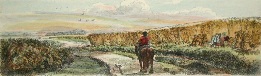 Haymaking, hand colured print