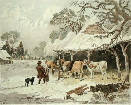 Winter