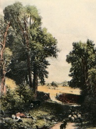 The Cornfield print