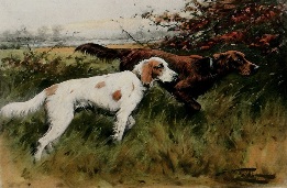 Pointers