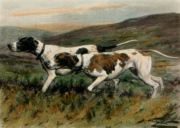 hand coloured print, Pointers