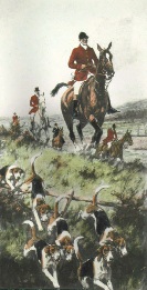 fox hunting with hounds