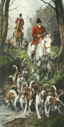 Homewards, fox hunting hounds