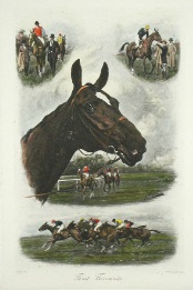 hand coloured horse print