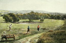 golf, the drive