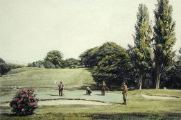golf, potting the ball