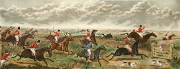 Shaking off the Cocktails, hunting