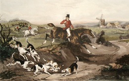 The Death, fox hounds print