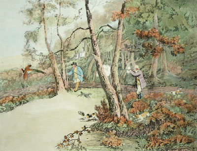 Pheasant Shooting