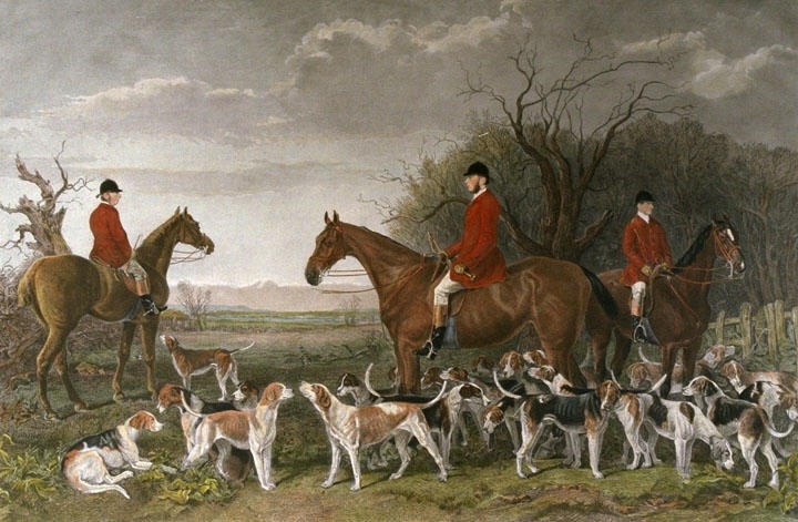 York & Ainstey