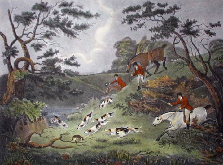 Fox Hunting - Plate 3