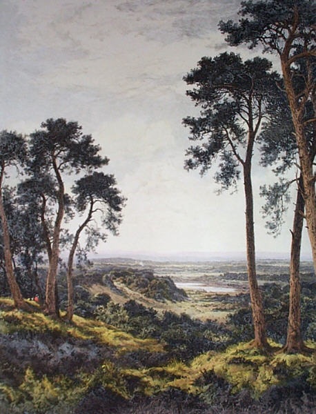 Surrey's Pleasant Hills