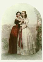 White & Red Rose, The