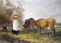 Milking Time