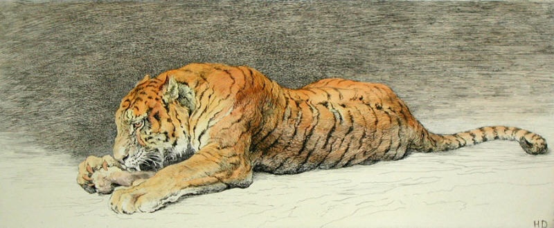 Juicy Bone (Tiger)
