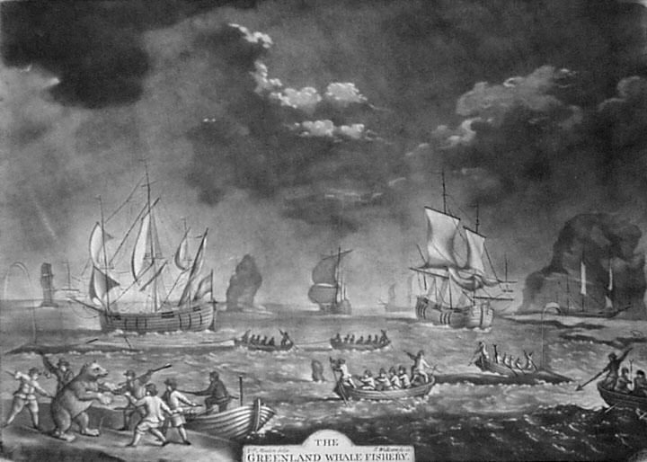 Greenland & Whale Fishery