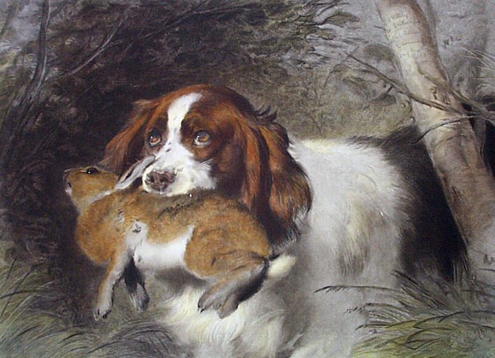 Trim (Dog with Rabbit)