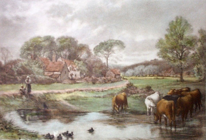 Watering Place