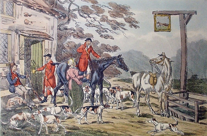 Returning To Kennels