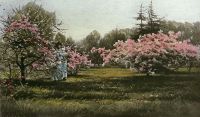 Kew Gardens - Plate 8