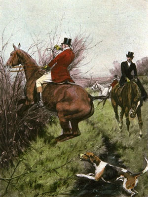 Thro' the Bullfinch