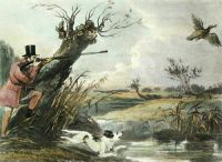 Duck Shooting - Pyall