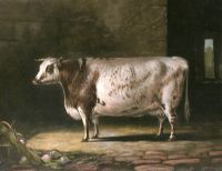 Cow, Bracelet