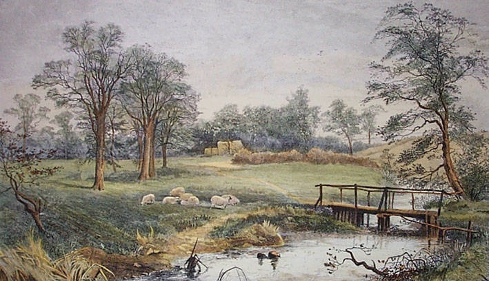 Springtime at Ashford