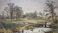 Springtime at Ashford