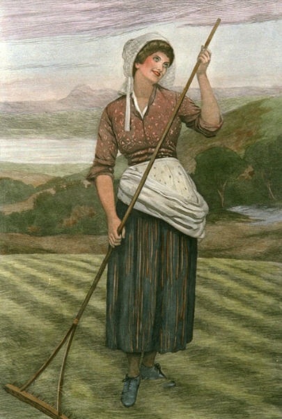 Haymaker, The