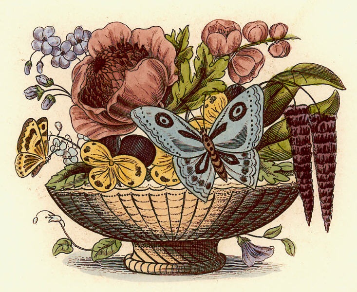 Flower Bowls - Plate I