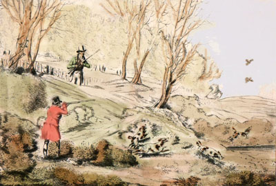 Woodcock