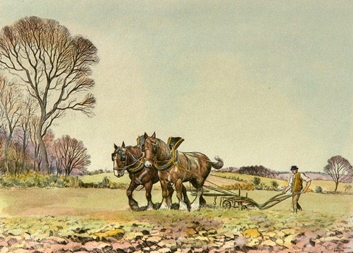 Ploughing - Plate 3