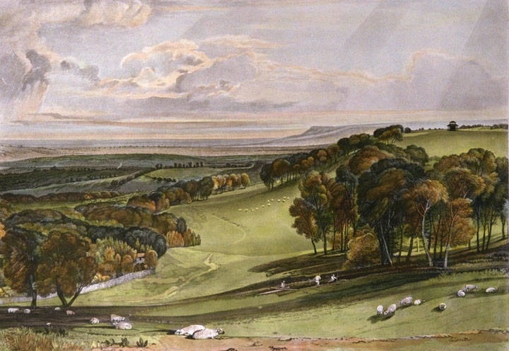 Rosehill