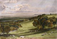 Rosehill