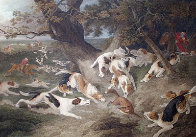 Death of the Fox