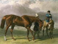 Racehorse