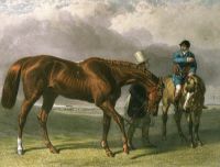 Racehorse