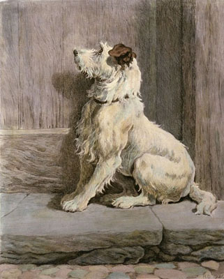 Prodigal (Dog)