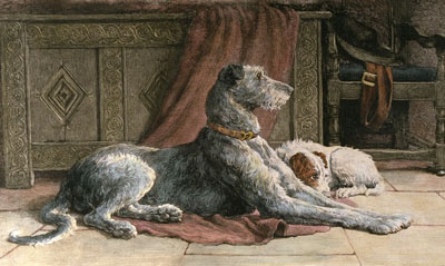 Patience (Deerhound)