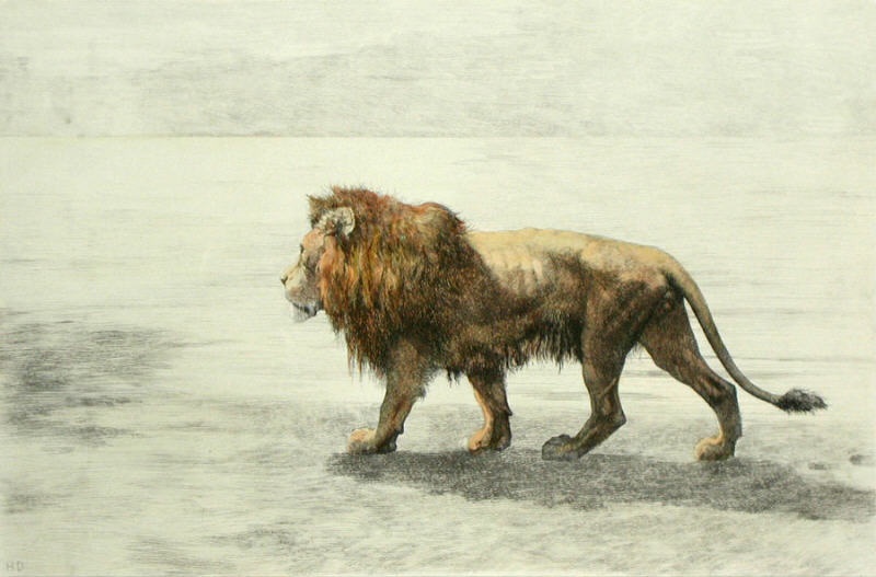 Lion on the Prowl