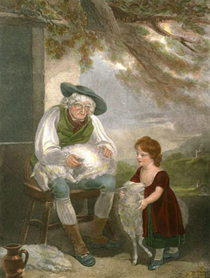 Sheep Shearer
