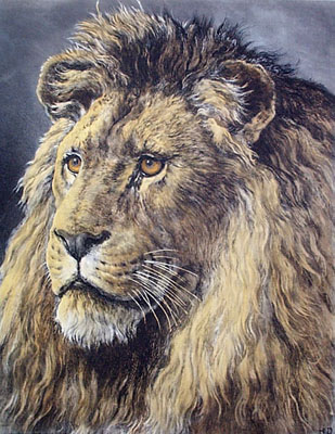 African Monarch, An (Lion)