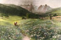 June in the Austrian Tyrol
