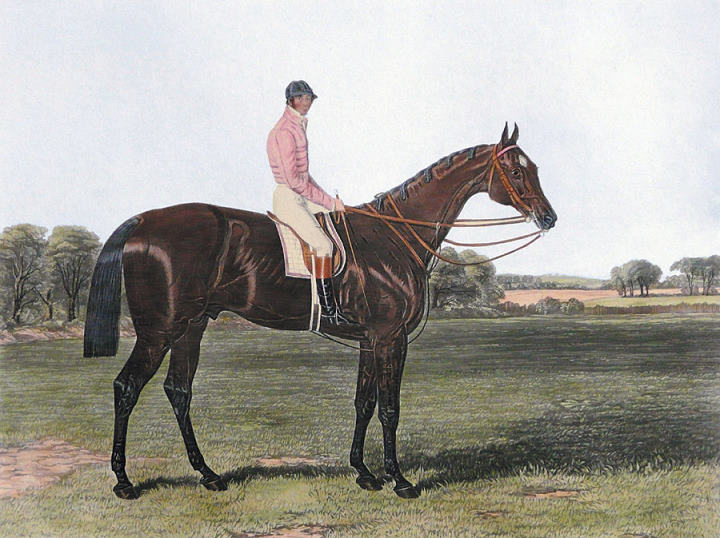 Coronation (Derby & St.Ledger winners)