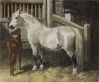 Cart Mare & Foal